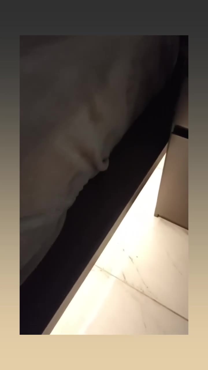 Video de proceso y resultado